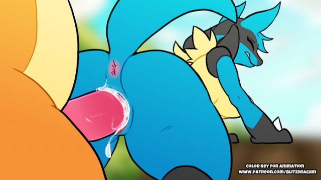 charizard+lucario