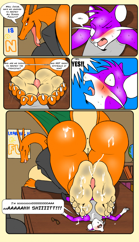 charizard+ms. zard+rattata
