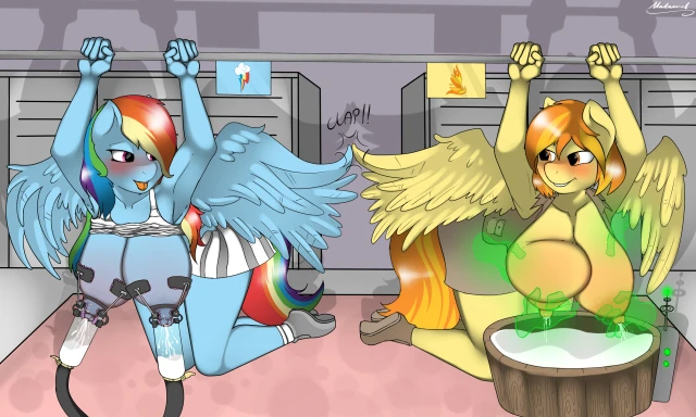 rainbow dash (mlp)+spitfire (mlp)+wonderbolts (mlp)