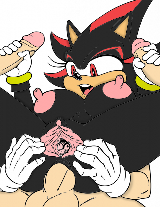 shadow the hedgehog